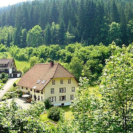 Апартаменты Country Style Flat With Garden Триберг Экстерьер фото