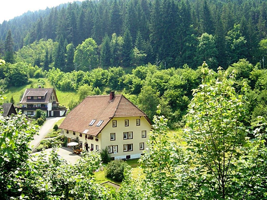 Апартаменты Country Style Flat With Garden Триберг Экстерьер фото